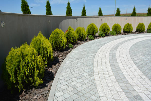 Best Driveway Pavers Near Me  in Cole Camp, MO